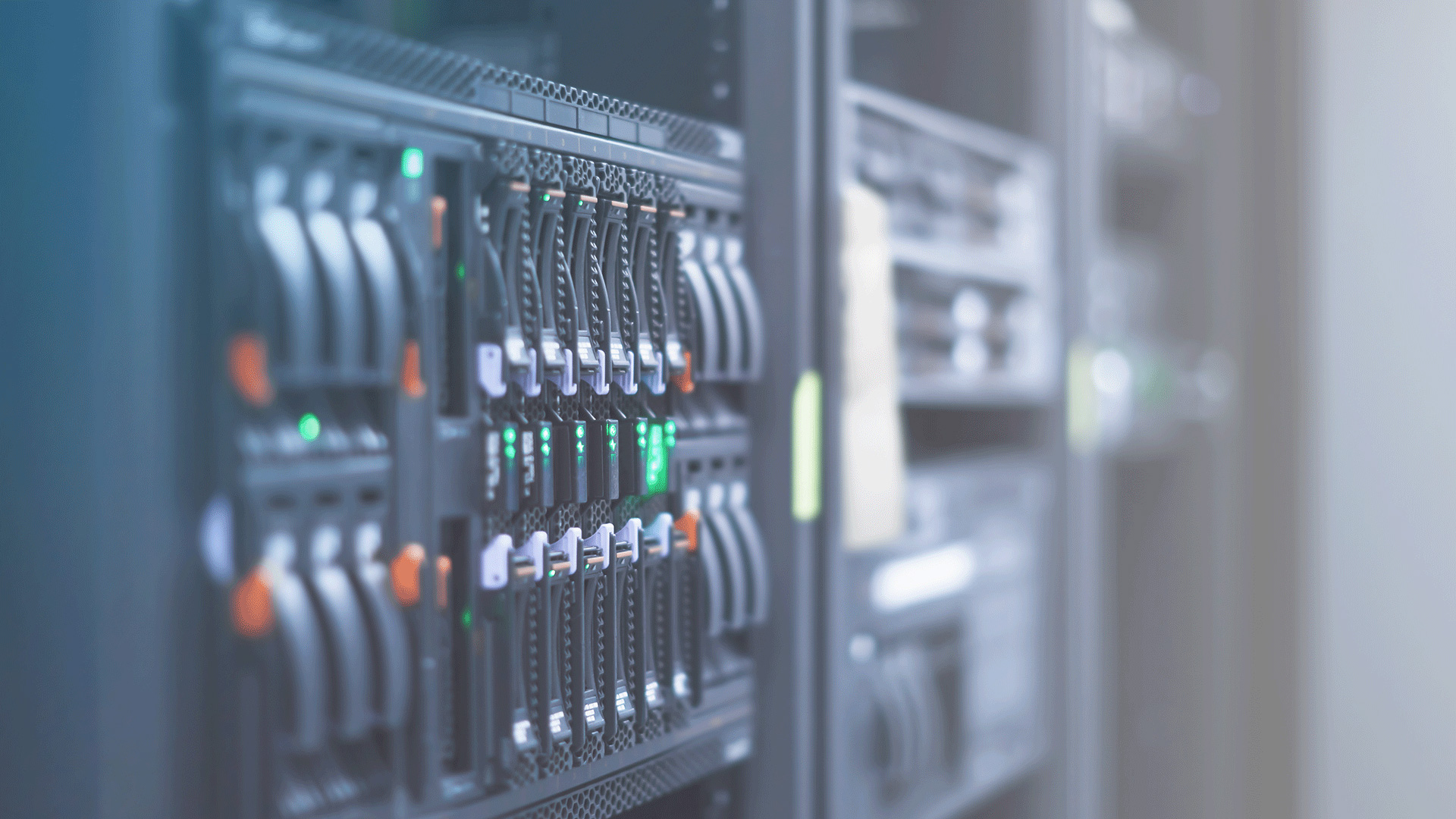 Close up of a website's backend data servers