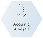 Acoustic analysis