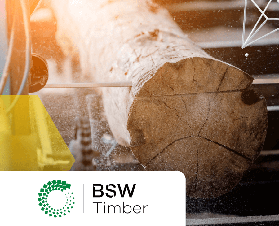BSW Timber logo