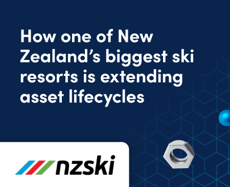 NZSki logo